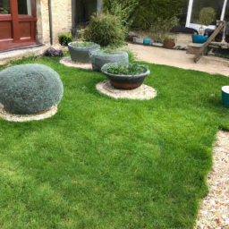 Techniques de taille pour maintenir un jardin esthétique et en bonne santé Saint-Leu